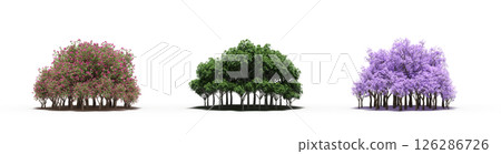 group of trees isolated on a transparent background, big trees in the forest, 3D illustration, cg render 126286726