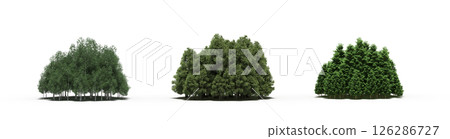 group of trees isolated on a transparent background, big trees in the forest, 3D illustration, cg render group of trees isolated on a transparent background, big trees in the forest, 3D illustration, cg render 126286727
