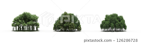 group of trees isolated on a transparent background, big trees in the forest, 3D illustration, cg render group of trees isolated on a transparent background, big trees in the forest, 3D illustration, cg render 126286728