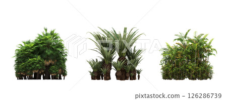 group of trees isolated on a transparent background, big trees in the forest, 3D illustration, cg render 126286739