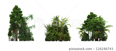 group of trees isolated on a transparent background, big trees in the forest, 3D illustration, cg render 126286743