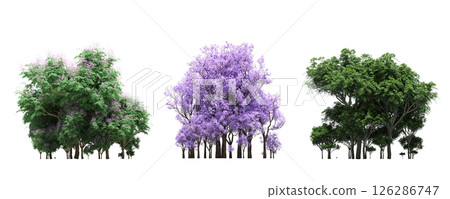 group of trees isolated on a transparent background, big trees in the forest, 3D illustration, cg render group of trees isolated on a transparent background, big trees in the forest, 3D illustration, cg render 126286747