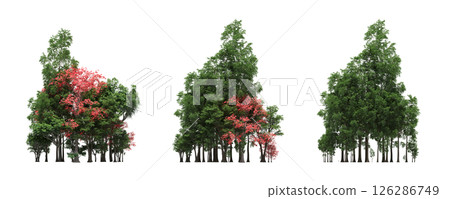 group of trees isolated on a transparent background, big trees in the forest, 3D illustration, cg render group of trees isolated on a transparent background, big trees in the forest, 3D illustration, cg render 126286749