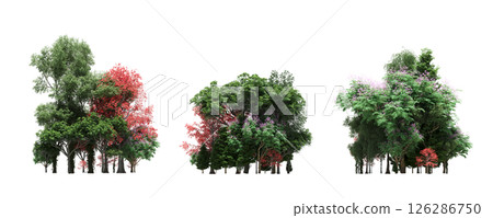 group of trees isolated on a transparent background, big trees in the forest, 3D illustration, cg render 126286750