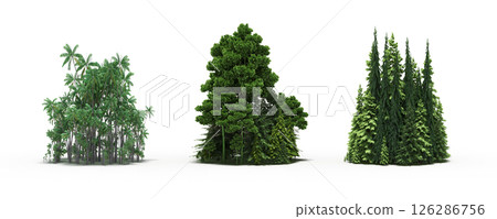 group of trees isolated on a transparent background, big trees in the forest, 3D illustration, cg render 126286756