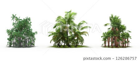 group of trees isolated on a transparent background, big trees in the forest, 3D illustration, cg render 126286757