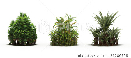 group of trees isolated on a transparent background, big trees in the forest, 3D illustration, cg render group of trees isolated on a transparent background, big trees in the forest, 3D illustration, cg render 126286758