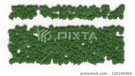 group of trees isolated on a transparent background, big trees in the forest, 3D illustration, cg render group of trees isolated on a transparent background, big trees in the forest, 3D illustration, cg render 126286864