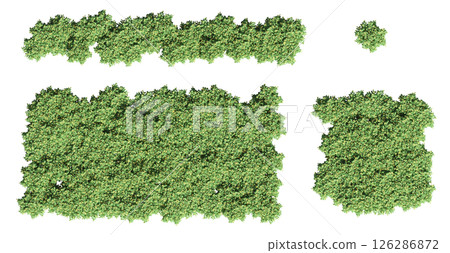 group of trees isolated on a transparent background, big trees in the forest, 3D illustration, cg render group of trees isolated on a transparent background, big trees in the forest, 3D illustration, cg render 126286872