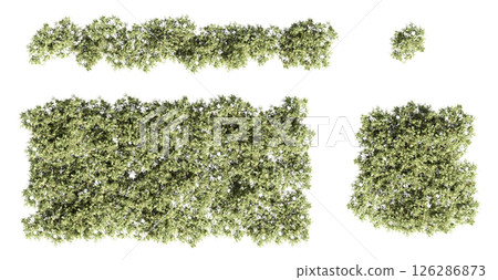 group of trees isolated on a transparent background, big trees in the forest, 3D illustration, cg render group of trees isolated on a transparent background, big trees in the forest, 3D illustration, cg render 126286873