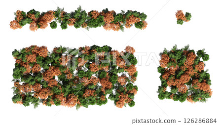group of trees isolated on a transparent background, big trees in the forest, 3D illustration, cg render 126286884