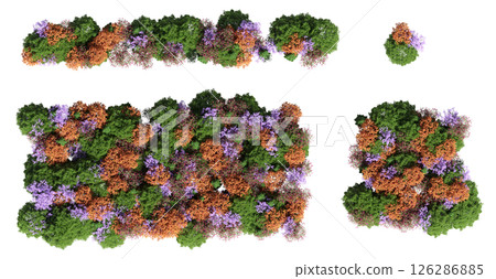 group of trees isolated on a transparent background, big trees in the forest, 3D illustration, cg render group of trees isolated on a transparent background, big trees in the forest, 3D illustration, cg render 126286885
