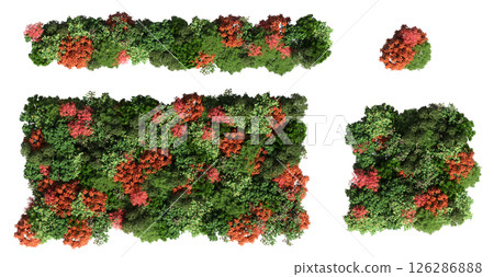 group of trees isolated on a transparent background, big trees in the forest, 3D illustration, cg render group of trees isolated on a transparent background, big trees in the forest, 3D illustration, cg render 126286888