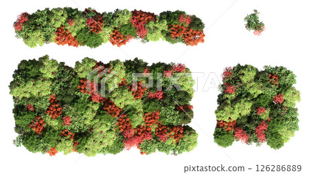 group of trees isolated on a transparent background, big trees in the forest, 3D illustration, cg render 126286889