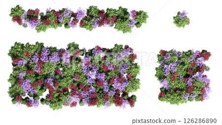 group of trees isolated on a transparent background, big trees in the forest, 3D illustration, cg render 126286890