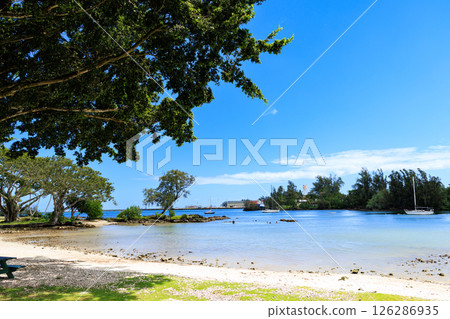 View of Hilo Bay from Reed's Bay Beach Park, Big Island of Hawaii 126286935