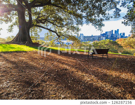 Sydney in autumn: Hills overlooking the sea at dusk Sydney in autumn: Hills overlooking the sea at dusk 126287156