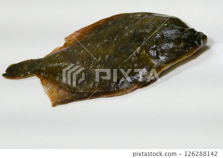 A slimy flounder A slimy flounder 126288142