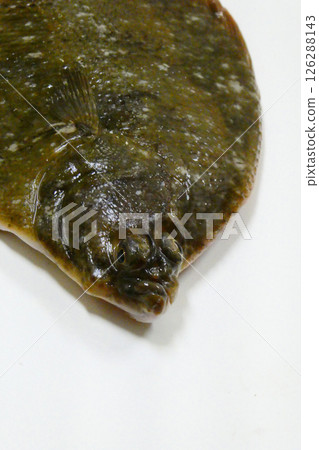 The slimy face of a flounder 126288143