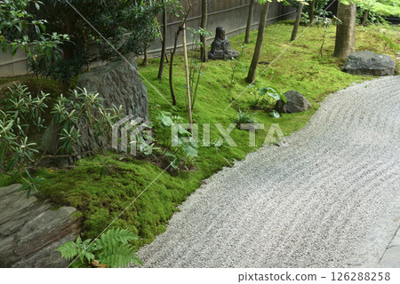 靈源院住持室南庭,建仁寺的分院(京都市東山區) 靈源院住持室南庭,建仁寺的分院(京都市東山區) 126288258