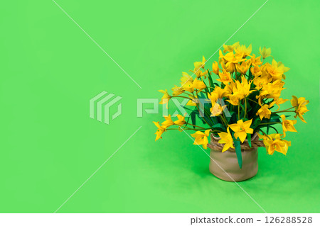 Banner. Yellow forest tulips in a ceramic brown vase on a green background. Basis for a postcard. Mother's Day, 8 March. 126288528