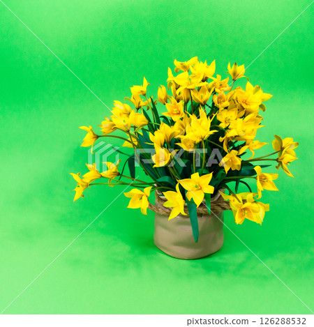 Yellow forest tulips in a ceramic brown vase on a green background. The basis for the postcard. Mother's Day, 8 March. 126288532
