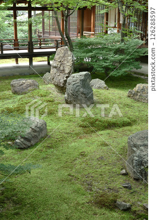Kenninji Temple, early summer, Shion Garden (Higashiyama Ward, Kyoto City) 126288597