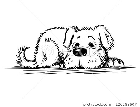 Kind old dog lying and resting 126288607