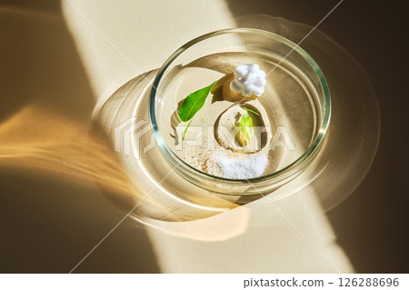 Textures of natural skin care products in a petri dish. 126288696