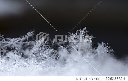Macro snowflakes showing intricate winter details on dark background Macro snowflakes showing intricate winter details on dark background 126288814