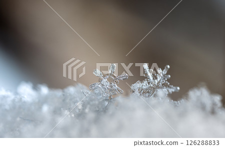 Macro snowflakes showing intricate winter details on dark background 126288833