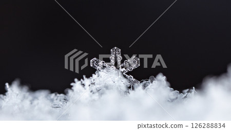 Macro snowflakes showing intricate winter details on dark background Macro snowflakes showing intricate winter details on dark background 126288834