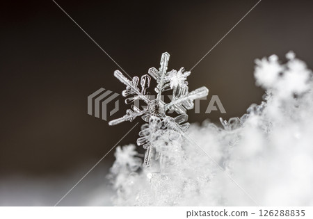 Macro snowflakes showing intricate winter details on dark background Macro snowflakes showing intricate winter details on dark background 126288835