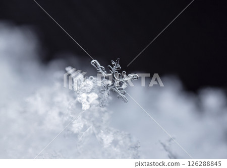 Macro snowflakes showing intricate winter details on dark background Macro snowflakes showing intricate winter details on dark background 126288845