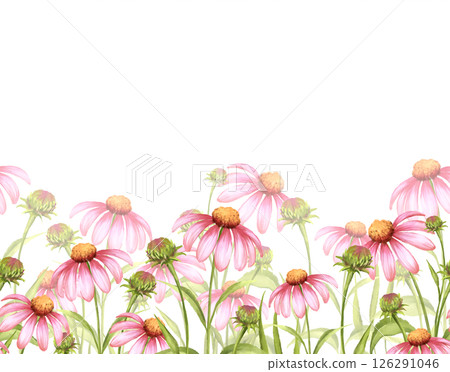 Pink Echinacea Seamless Border - Hand-Drawn Floral Illustration Pink Echinacea Seamless Border - Hand-Drawn Floral Illustration 126291046