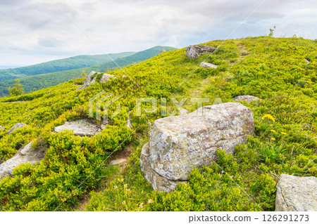 trail through green grassy hill. carpathian mountain landscape in summer. alpine highlands of ukraine on a cloudy day. travel background of smooth mountain 126291273