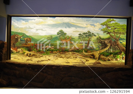 印尼世界遺產:桑吉蘭早期人類遺址 印尼世界遺產:桑吉蘭早期人類遺址 126291594