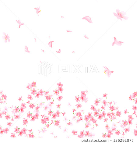 Sakura on white background. Digital cherry tree. Cherry blossom flower blooming. Pink sakura flower background. Beautiful sakura flower petals flying on white background. Flowers for wedding. 126291875