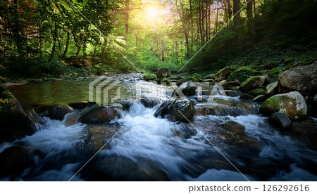 A river in the forest illuminated by the morning sun A river in the forest illuminated by the morning sun 126292616