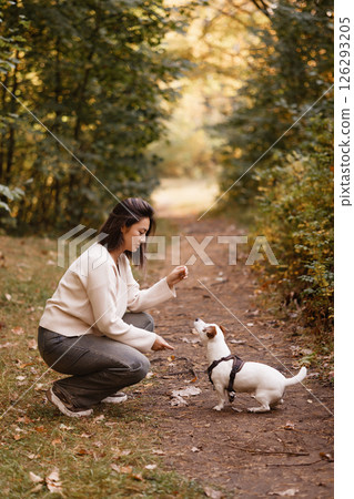 Woman training small dog during autumn walk in forest Woman training small dog during autumn walk in forest 126293205