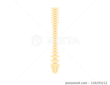 Human spine poster Human spine poster 126293212