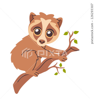 Slow loris hand drawn animal 126293387