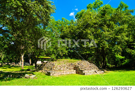 Small, partially excavated Maya platform at the las Sepulturas complex near Copan in Honduras, surrounded by dense trees and grassy terrain. The site illustrates residential and ceremonial aspects of 126293627
