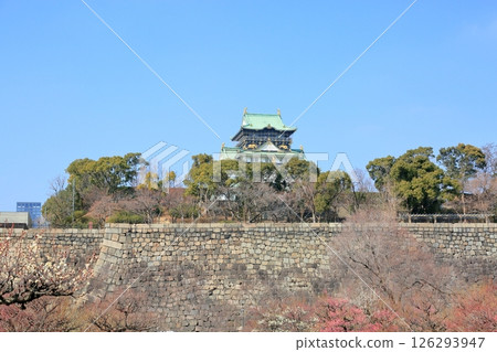Osaka Castle castle tower 126293947