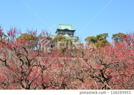 大阪城堡城堡塔 大阪城堡城堡塔 126293953
