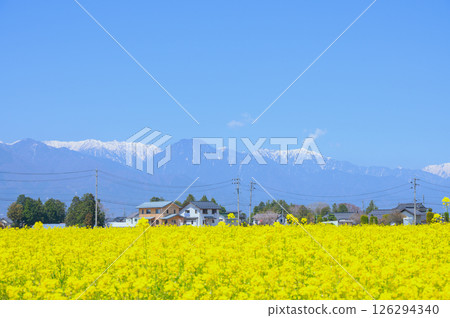 有明山和油菜花田 [安曇野市] 126294340