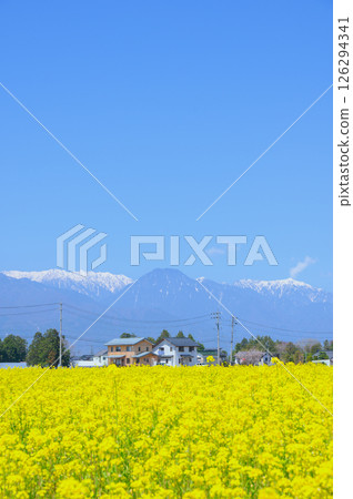 有明山和油菜花田 [安曇野市] 126294341