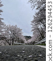 「櫻花飄落的道路盡頭延續的風景」櫻之道；櫻花路 126294453
