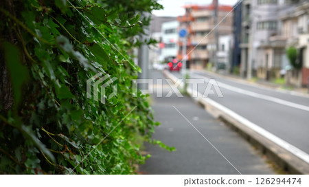 Fence facing the sidewalk Fence facing the sidewalk 126294474