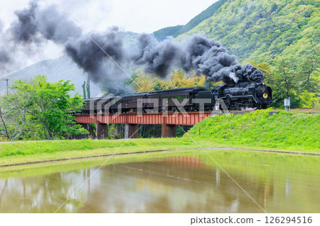 Scenery of Chotokyo Gorge in early summer and the SL Yamaguchi D51, Yamaguchi City, Yamaguchi Prefecture 126294516